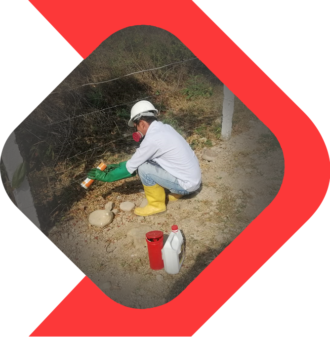 servicios_1